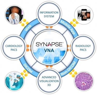 Synapse PACS